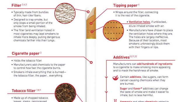 anatomy of a tobacco cigarette